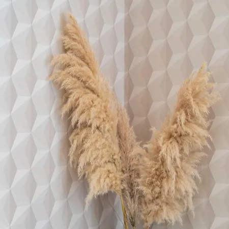 One Bedroom With Balcony Apartamento