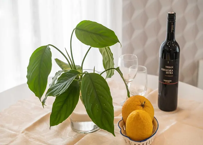 One Bedroom With Balcony 아파트 믈리니